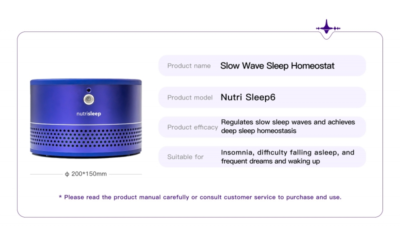 Slow Wave Sleep Homeostat