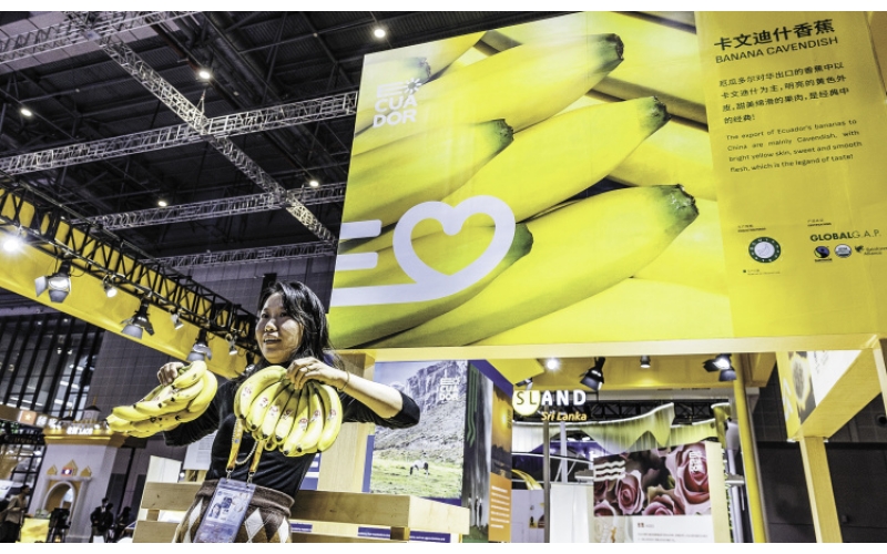 New elements and new faces emerge at the "try new" CIIE, with "old friends" bringing "hard goods" to the stage